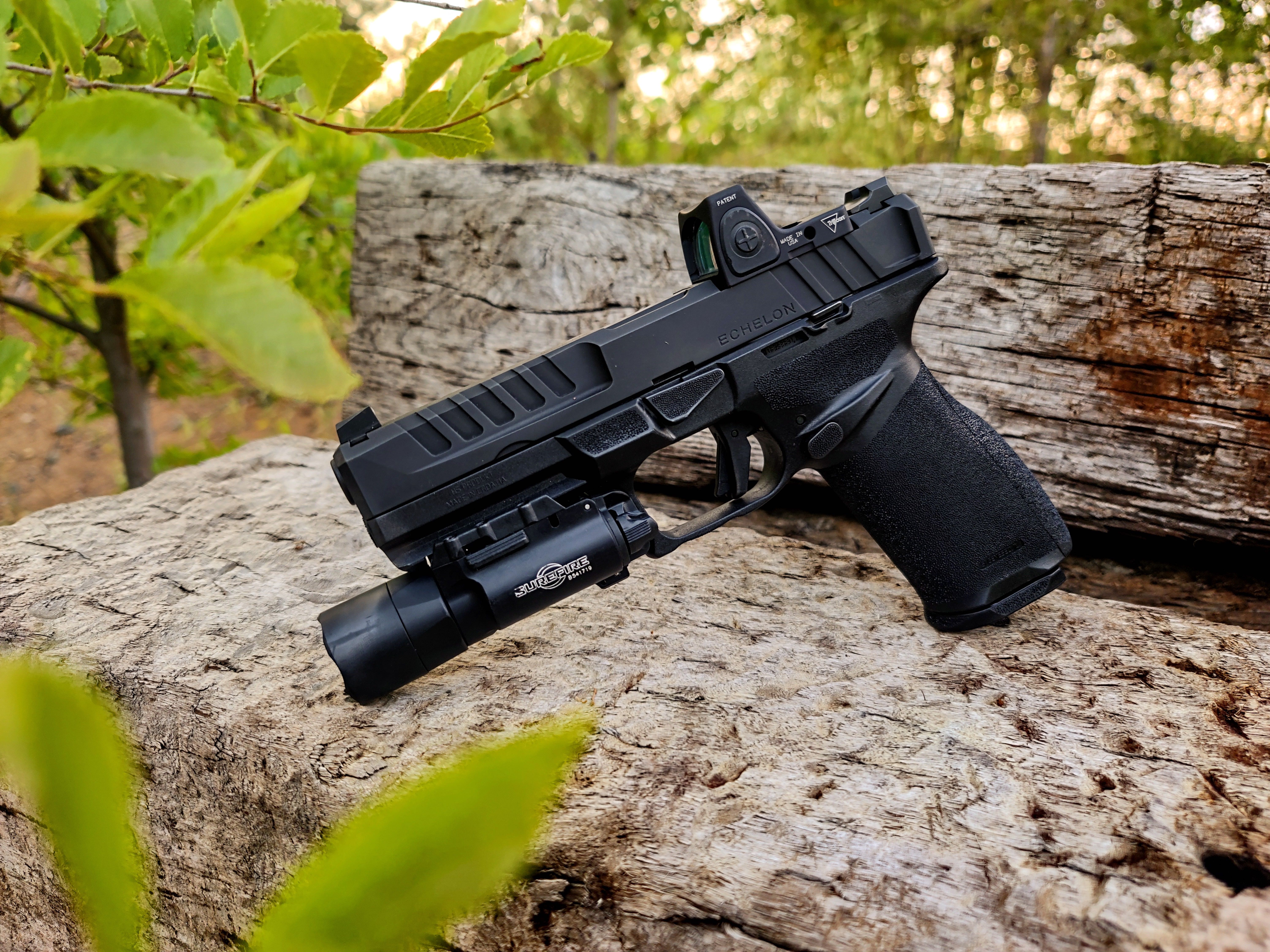 Blog # 261 - Should We Build Accessories for the Springfield Echelon?