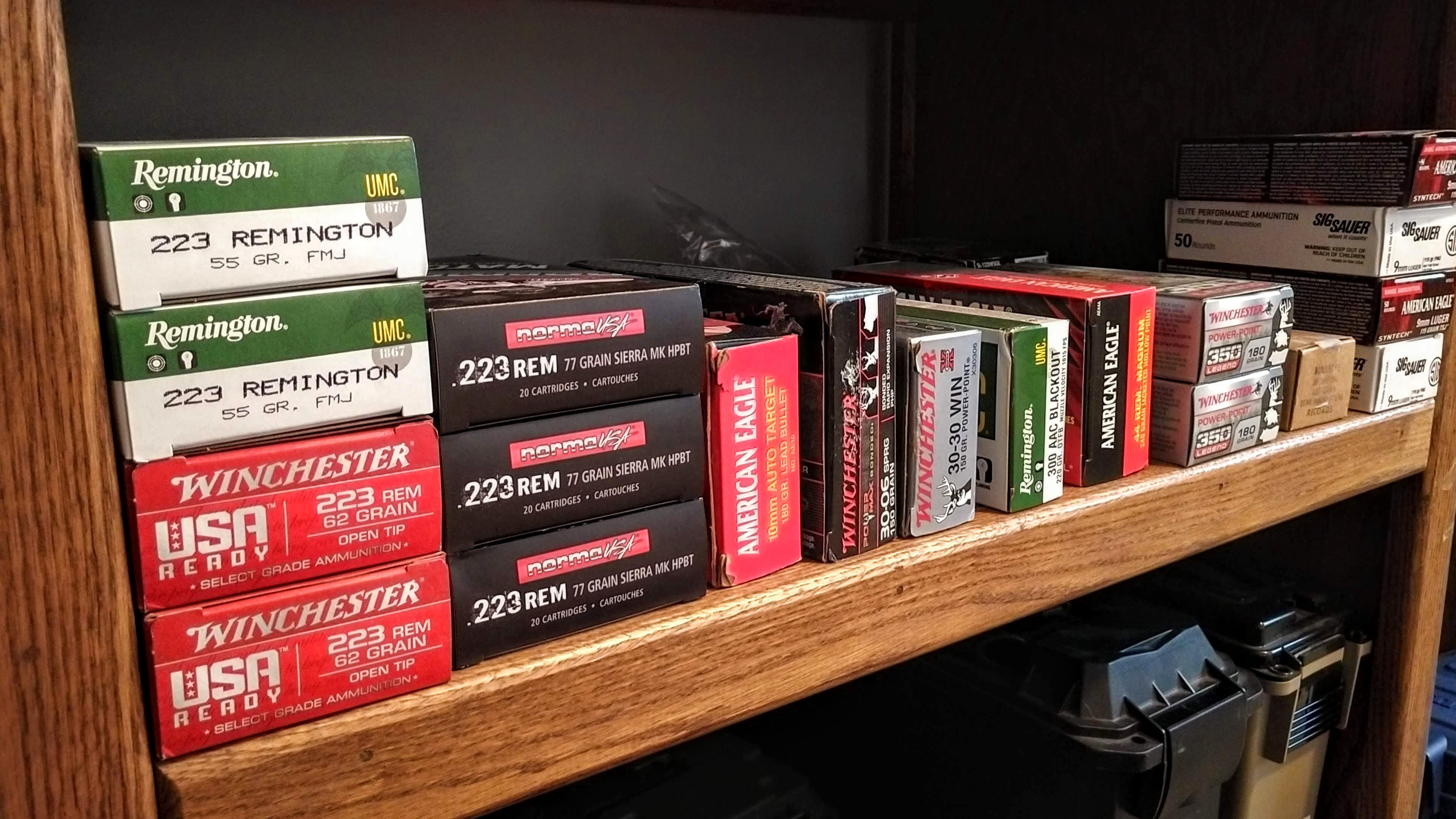 Its cool to be a prepper // Blog #103
