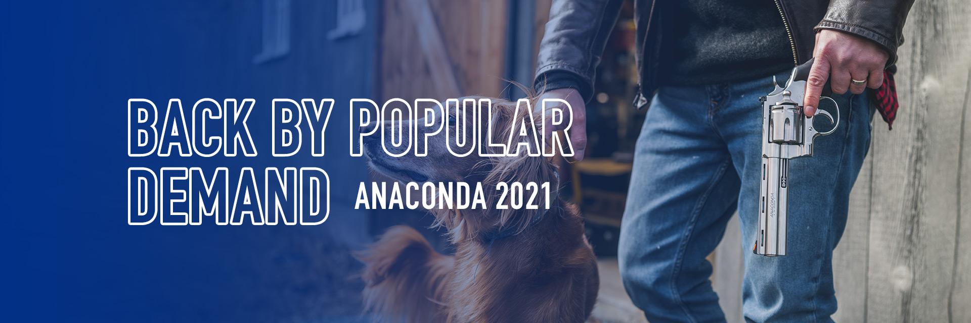 Blog #140 / / Colt Anaconda 44 Magnum 