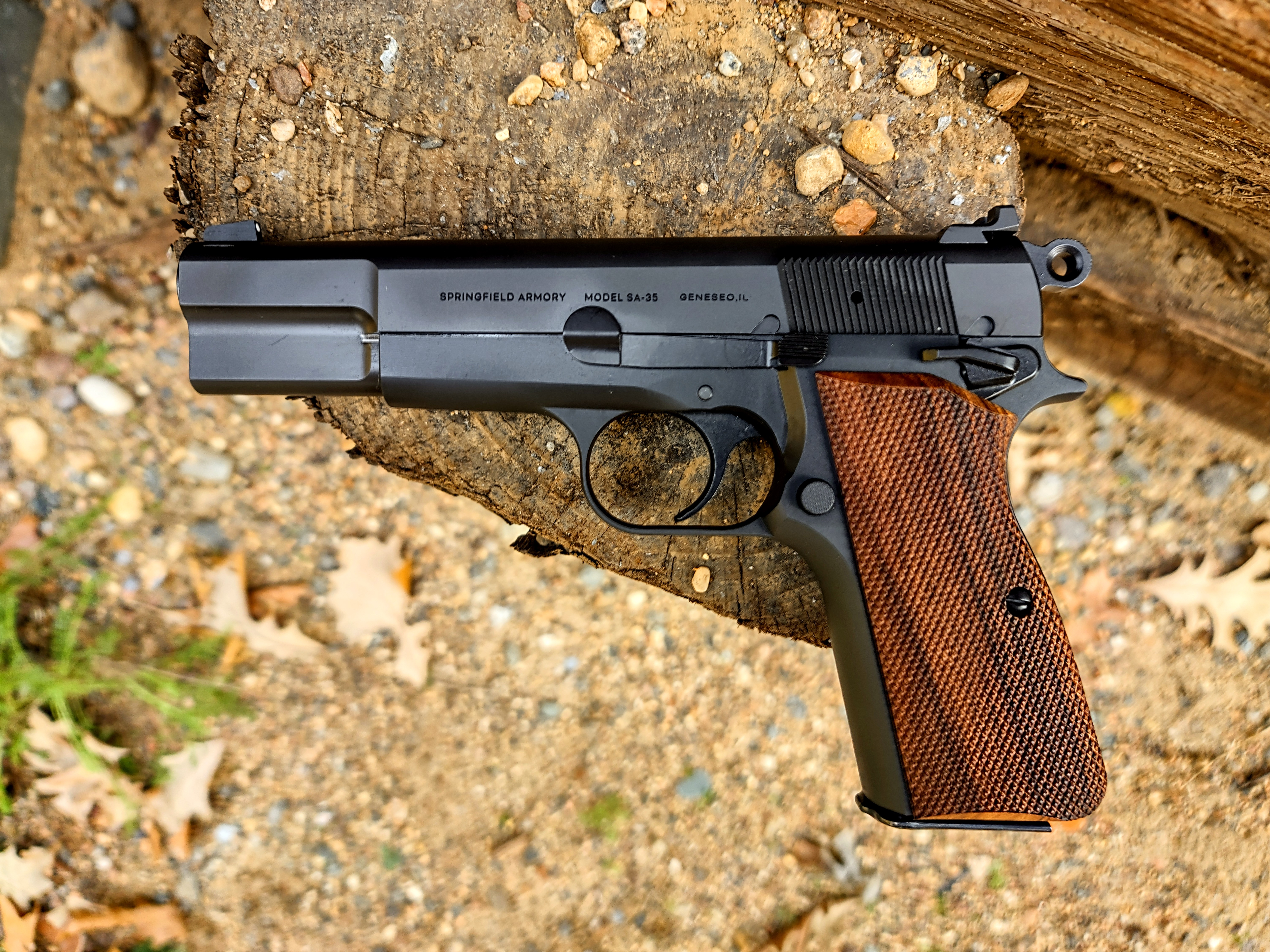 Blog #173 / / NEW Springfield Armory SA-35 (Hi-Power)