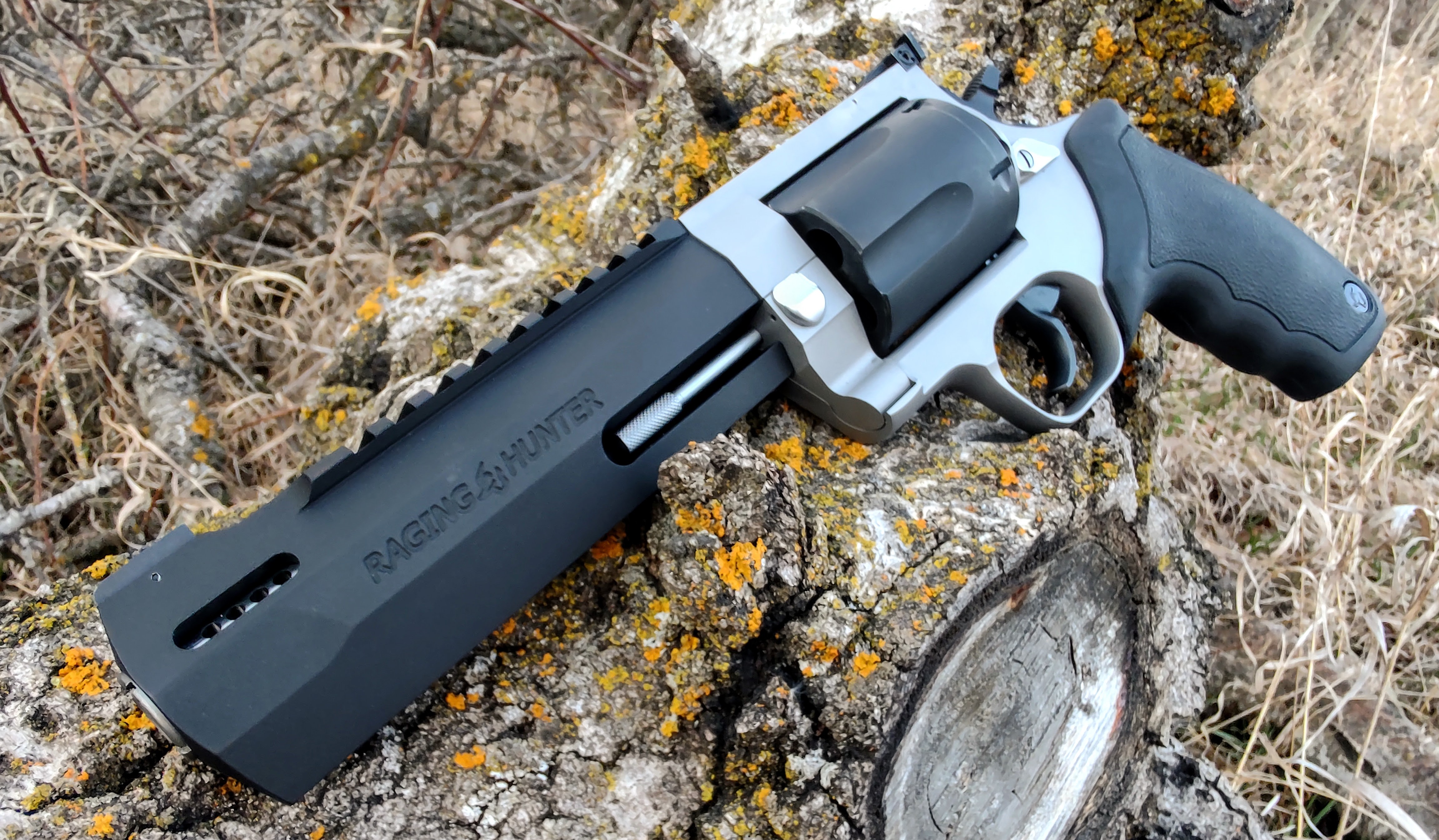 Blog # 142 / / Taurus Raging Hunter 460