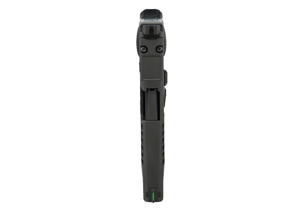 p365 fuse