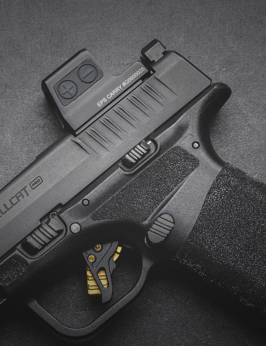Blog # 282 - A Comprehensive Review of the Springfield Armory Hellcat and Hellcat Pro