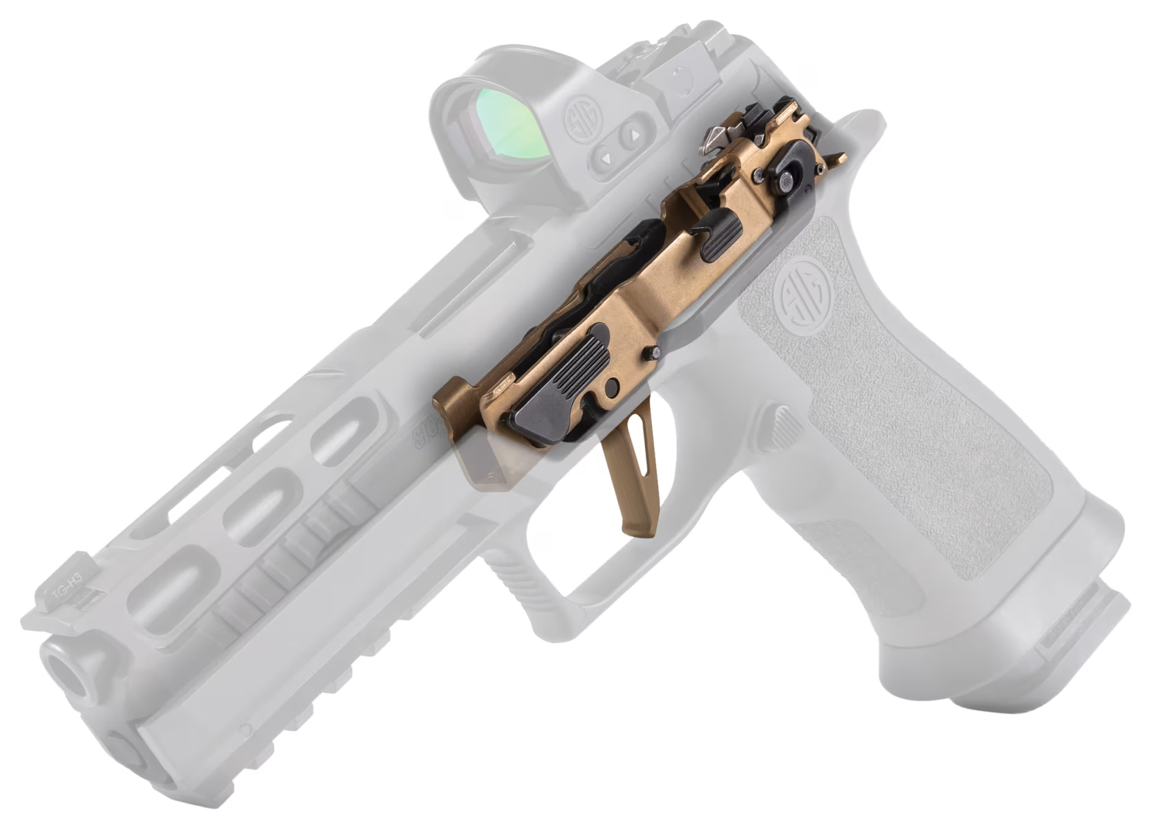 Sig Sauer P320 with FCU in FDE